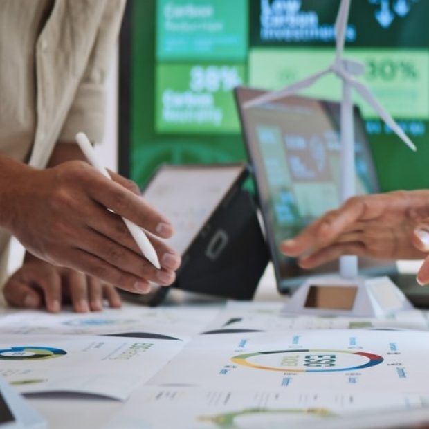 Sustainable finance team reviews data