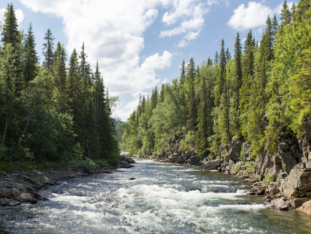 A river