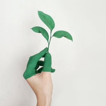 sustainability-across-discplines
