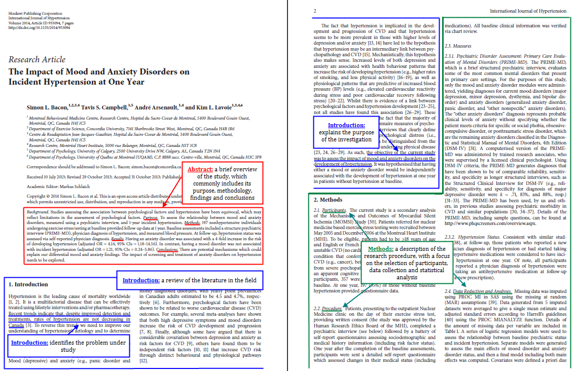 review vs research articles