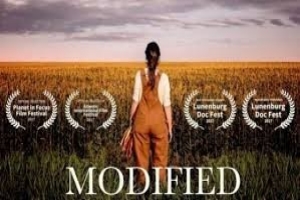 Thumbnail of video titled "Modified"