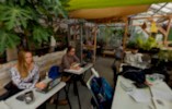 People sitting in a greenhouse on couches