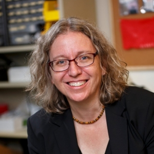 Director of the Innovation Lab, Ann-Louise Davison, PhD