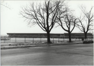 Three tress in front of the Athletics Complex