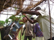 empowering-community