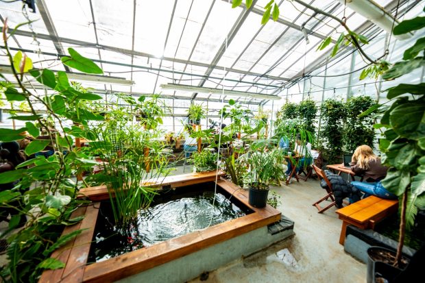 People sitting at tables in a greenhouse surrounded by lush plants and water features.