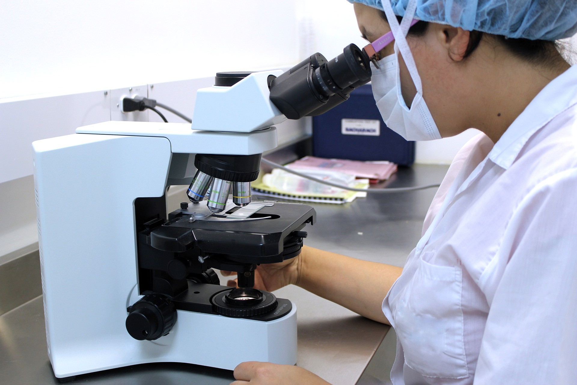 Search for Natural Chemicals That Delay Aging and Kill Cancer Cells