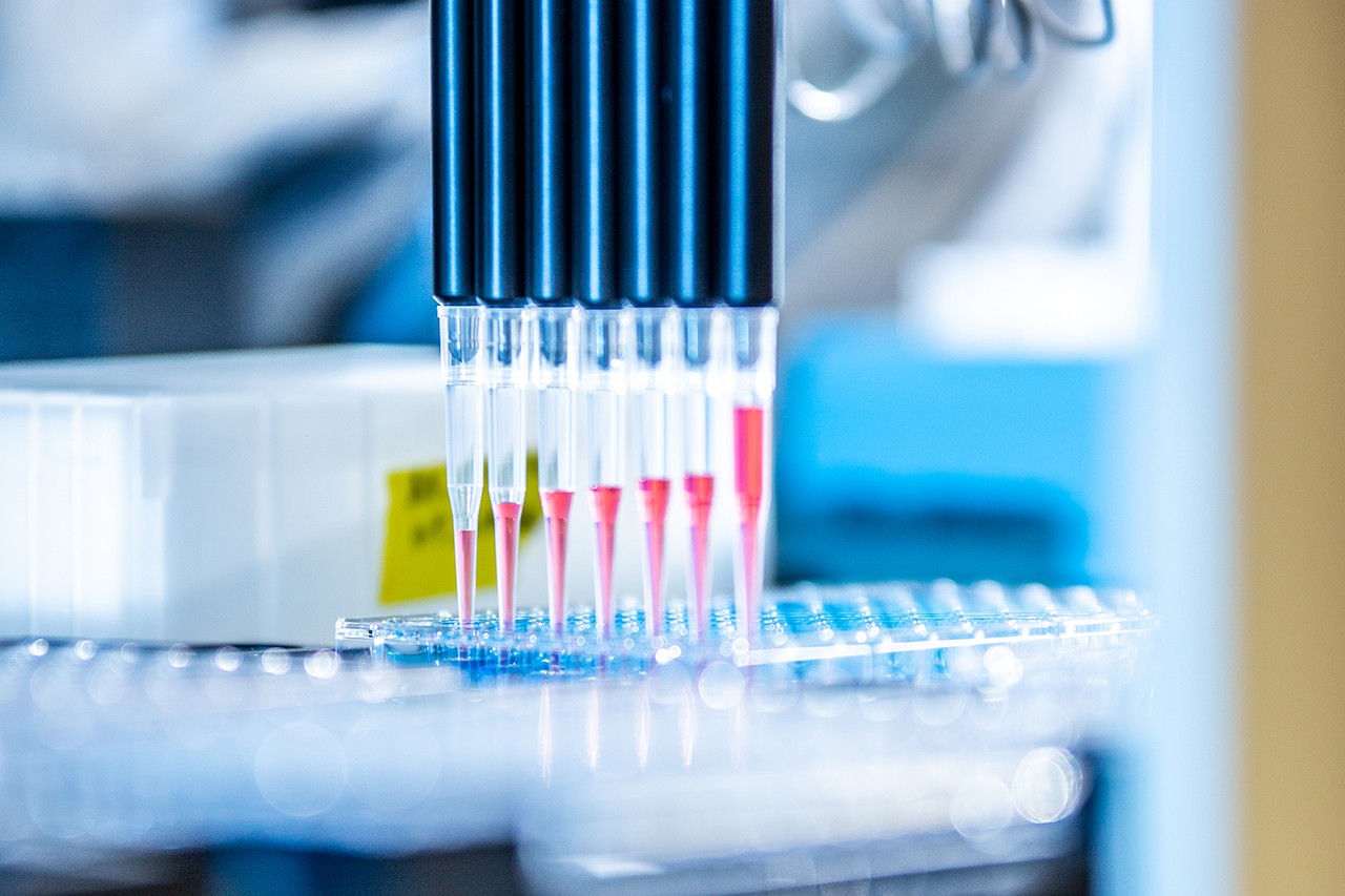 Concordia Genome Foundry Concordia University