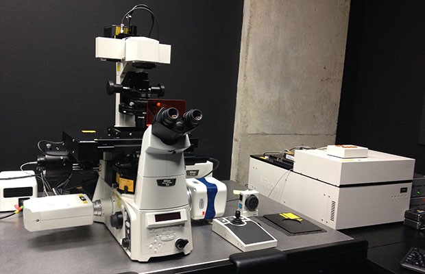 Nikon C2 laser scanning confocal microscope