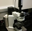 Optical microscope