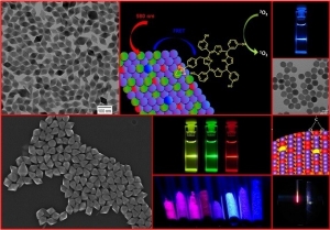 Upconverting NaY4 nanoparticles Upconverting NaY4 nanoparticles