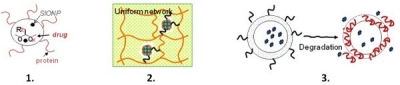 Macromolecular nanoscale biomaterials Macromolecular nanoscale biomaterials