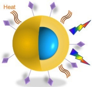 Hybrid nanoparticle Hybrid nanoparticle