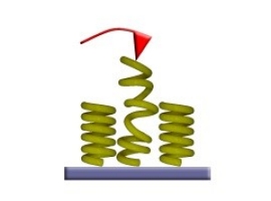 Nanospring being pulled by a cantilever