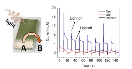 Nanostructured semiconductor photoelectrode