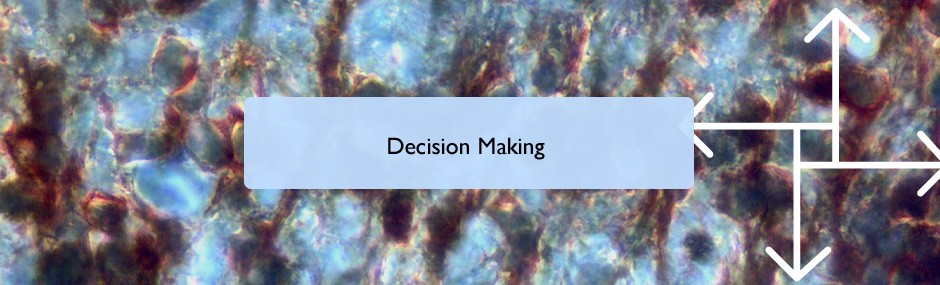 Decision making