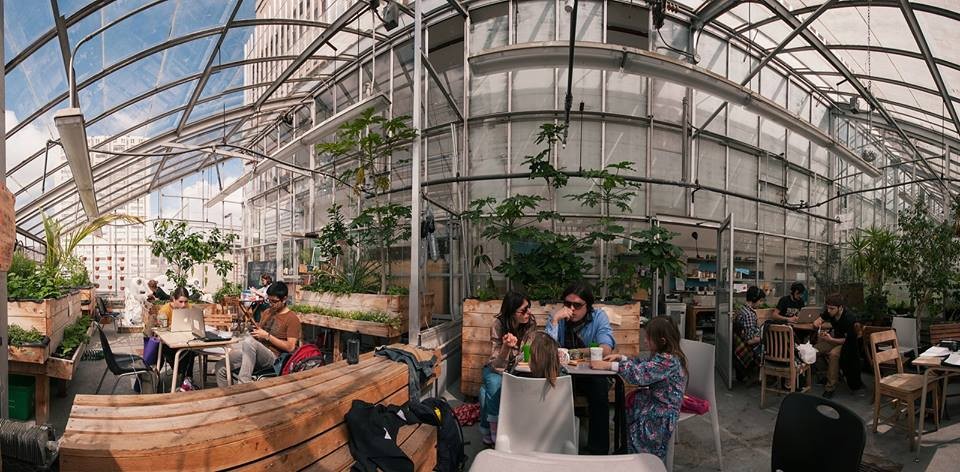 Students congregate at various tables in a lush greenhouse atop Concordia's Hall Building.