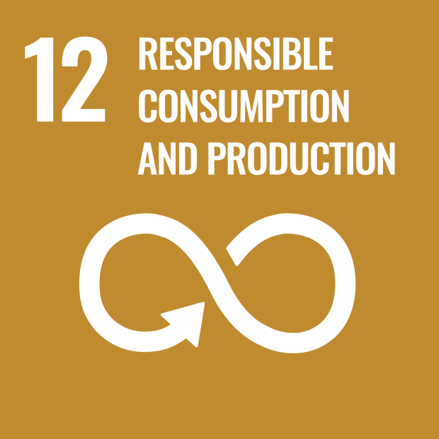 UN Sustainable Development Goal number 12: Responsible consumption and production