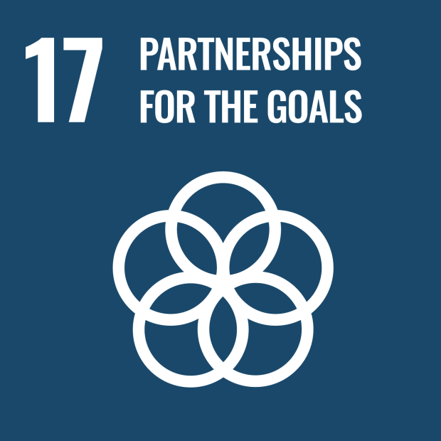 UN Sustainable Development Goal number 17: Partnerships for the goals