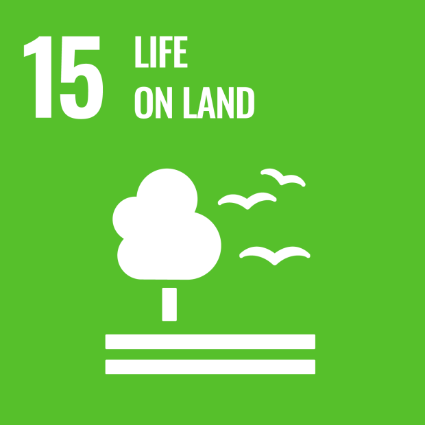 UN Sustainable Development Goal number 15: Life on land