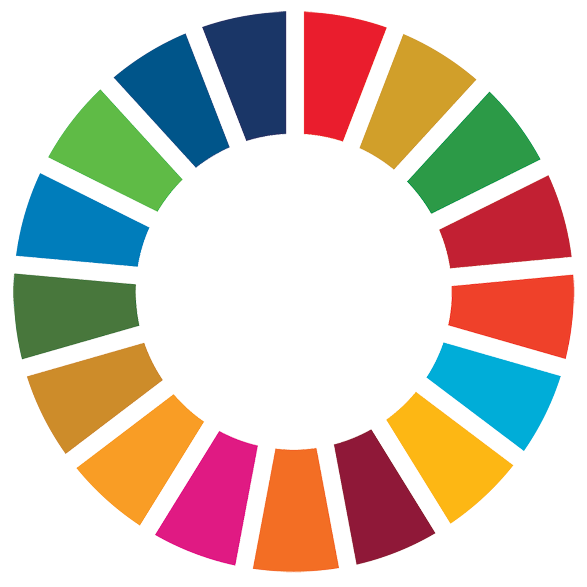 the colour wheel logo of the United Nations 17 Sustainable Development Goals