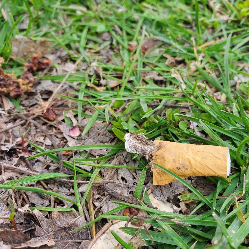 cigarette butts