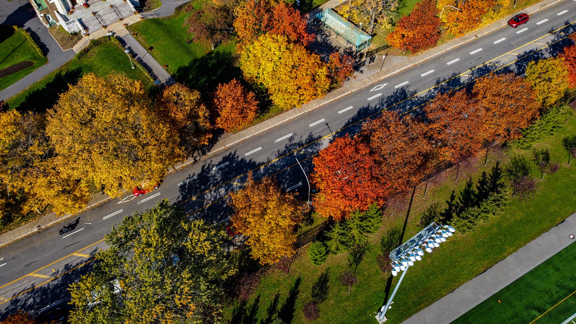 An aerial photograph of the Loyola campus, intersected by Sherbrooke Street West, in the autumn
