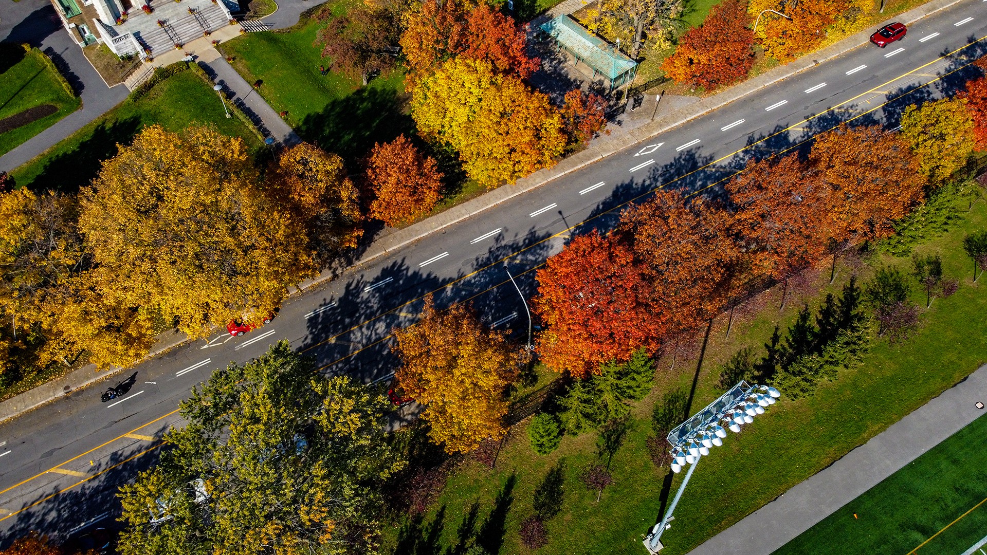 20201023-Loyola-76-hero An aerial photograph of the Loyola campus, intersected by Sherbrooke Street West, in the autumn
