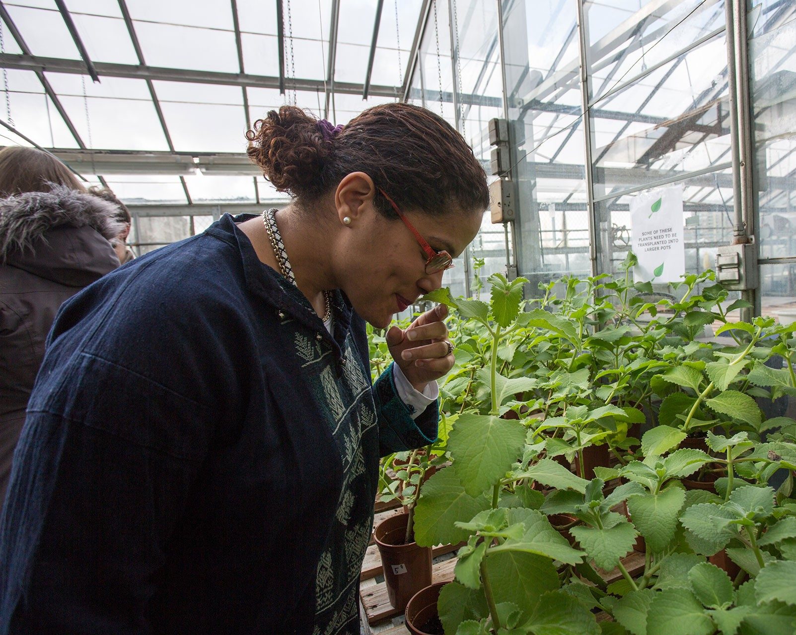 A woman stands next to an abundance of seedlings in the greenhouse. She grins as she brings a leaf up to her nose to sniff.