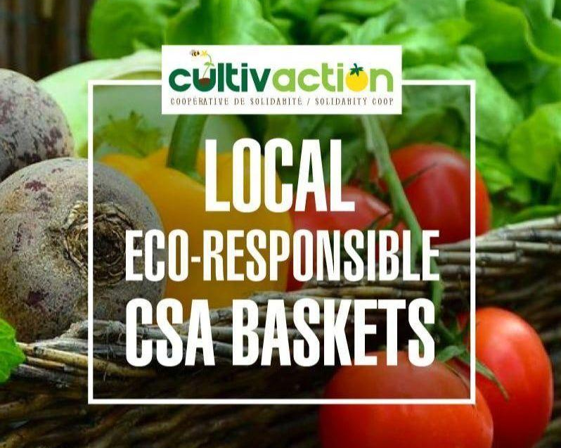 The words "Local Eco-Responsable CSA Baskets" in front of a basked of produce, including tomatoes, beets, lettuce, and yellow pepper.