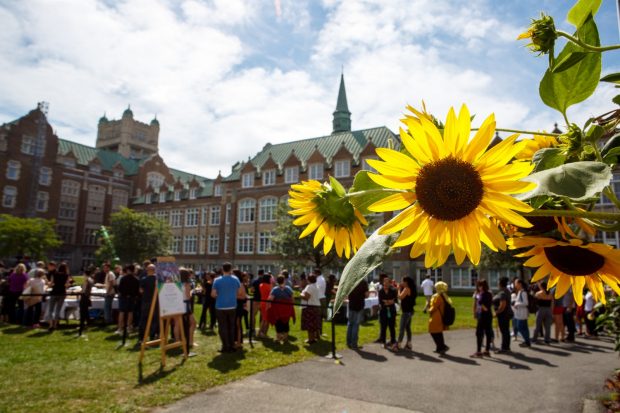 From a distance, the President's Picnic is photographed in the Loyola Quadrangle. In the foreground, large sunflowers frame the image.