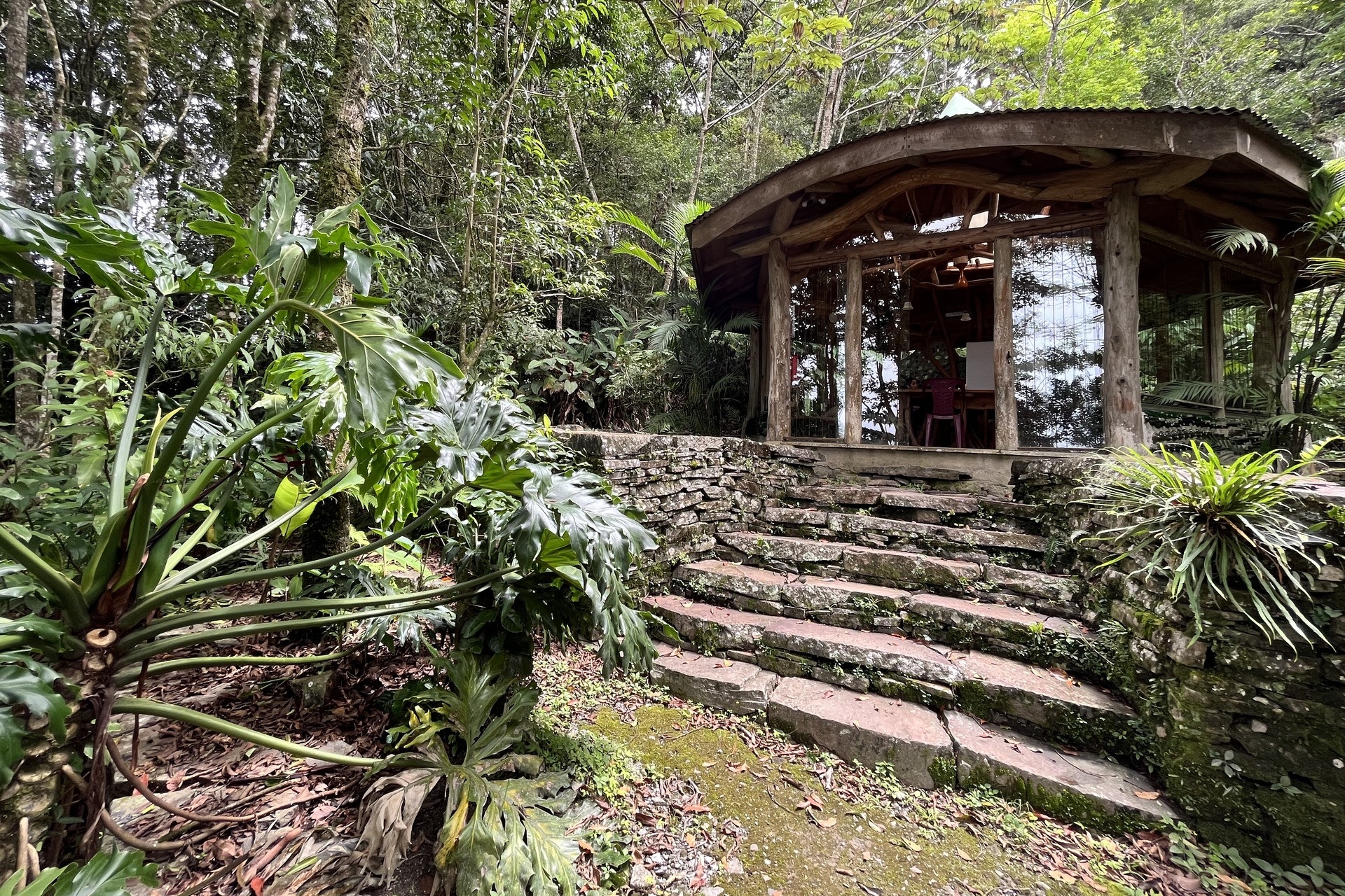 Rectangular image showing a house in the rainforest