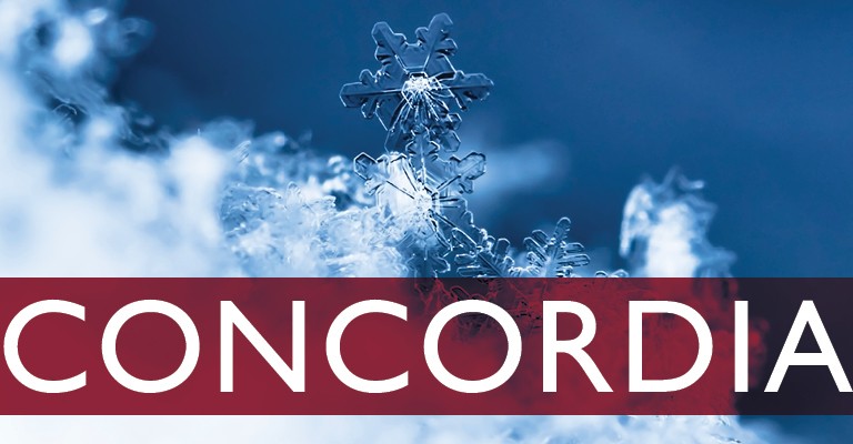 Delicate snowflakes on snow with blue background