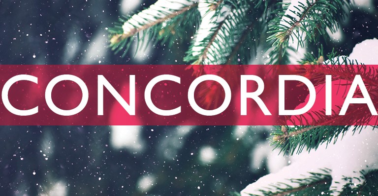Winter Holiday Evergreen Christmas Tree Pine Branches Covered With Snow and Falling Snowflakes