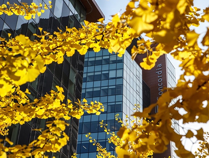 Concordia SGW campus buildings in the autumn