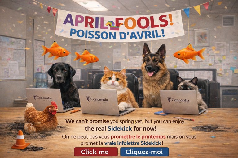 A silly ai-generated image of an office celebrating April Fool's Day, where cats and dogs are sitting in front of laptops, and a hen is nested in a pothole next to an orange cone.