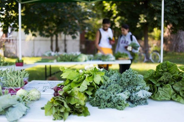 Des légumes sont posés sur une table au campus Loyola de Concordia, avec des étudiants en arrière-plan.