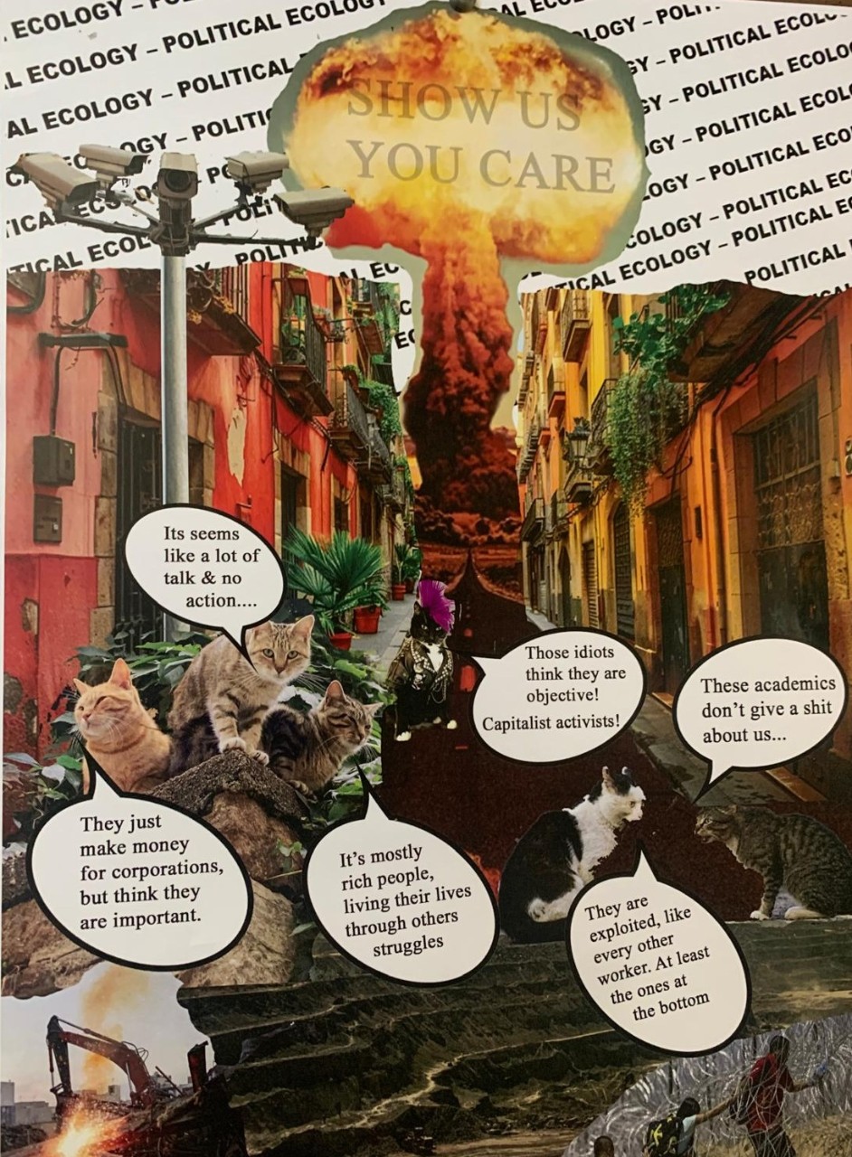 Political ecology collage featuring surveillance cameras overlooking a degrading climate and multiple cats talking about the corporate class.
