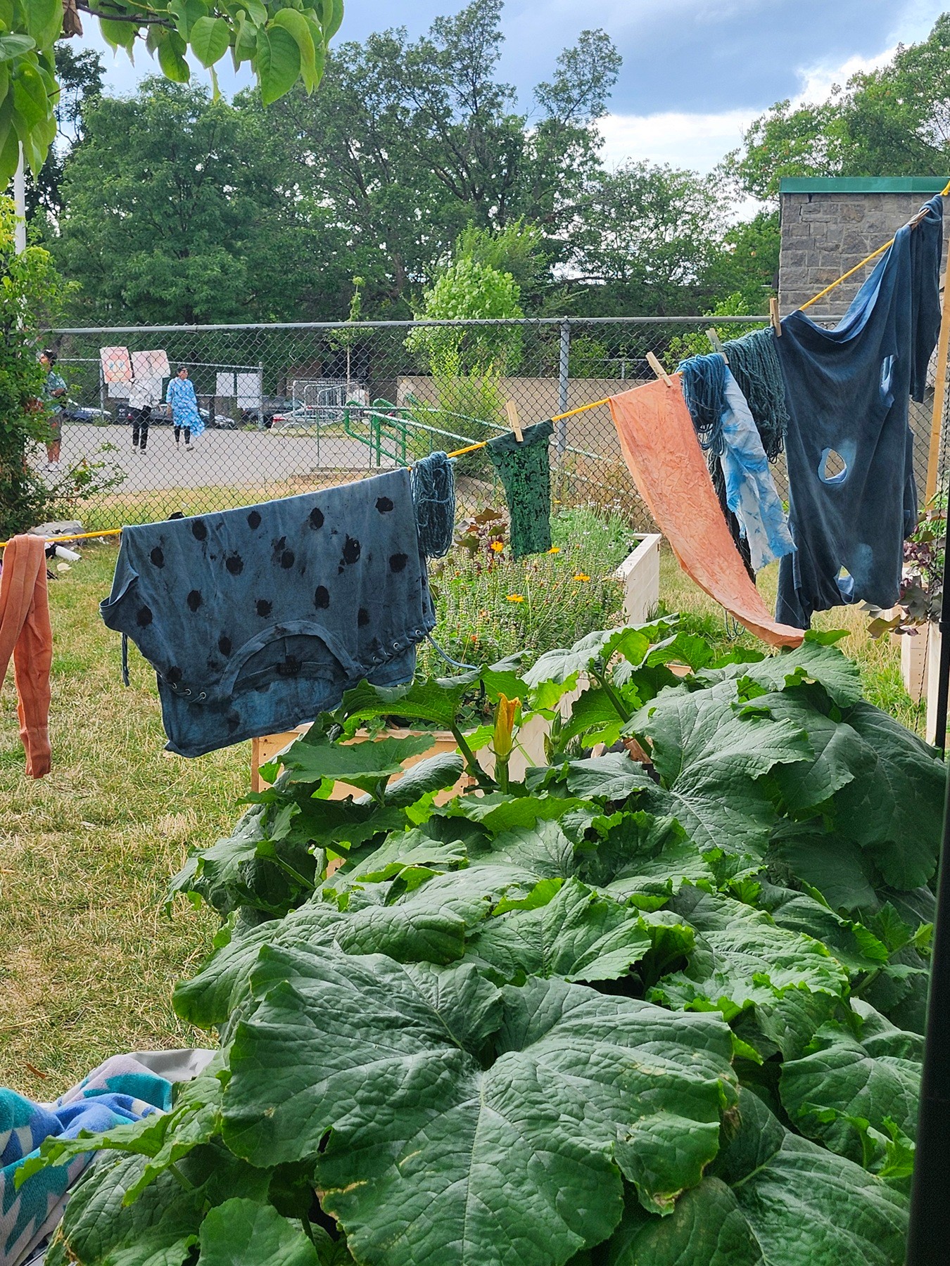 A smiling person putting items--snacks, fans, and bags of tea--on a trellis using clothes pins