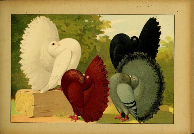 Li-Ber-T House Annual General Meeting