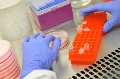Études multidisciplinaires en sciences