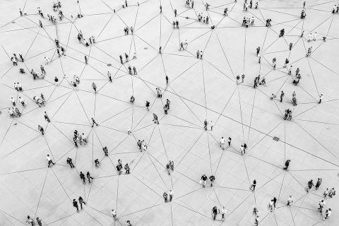 Programme d’études individualisées (PhD)