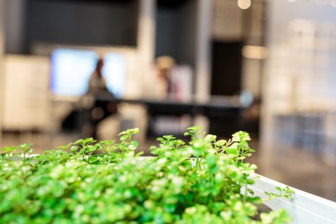 Évaluation environnementale (MEnv)