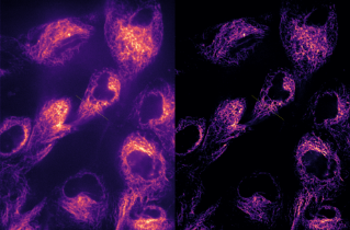 Deconvolution Before/After