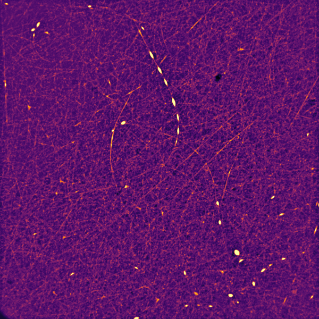 PVA Nanofibres with Carbon Nanodots