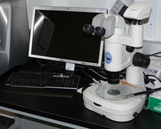 Microscopy | Centre for Structural and Functional Genomics