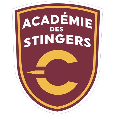 Académie de soccer des Stingers