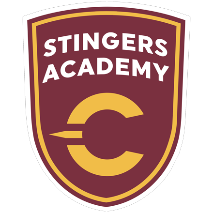 Stingers Soccer Academy