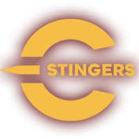 Les Stingers de Concordia