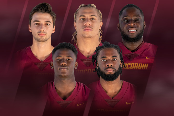 RSEQ all-star football team features five members of Stingers
